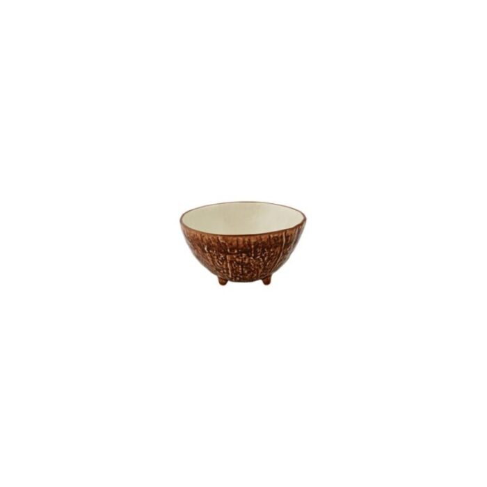 coconut bowl 240924031419